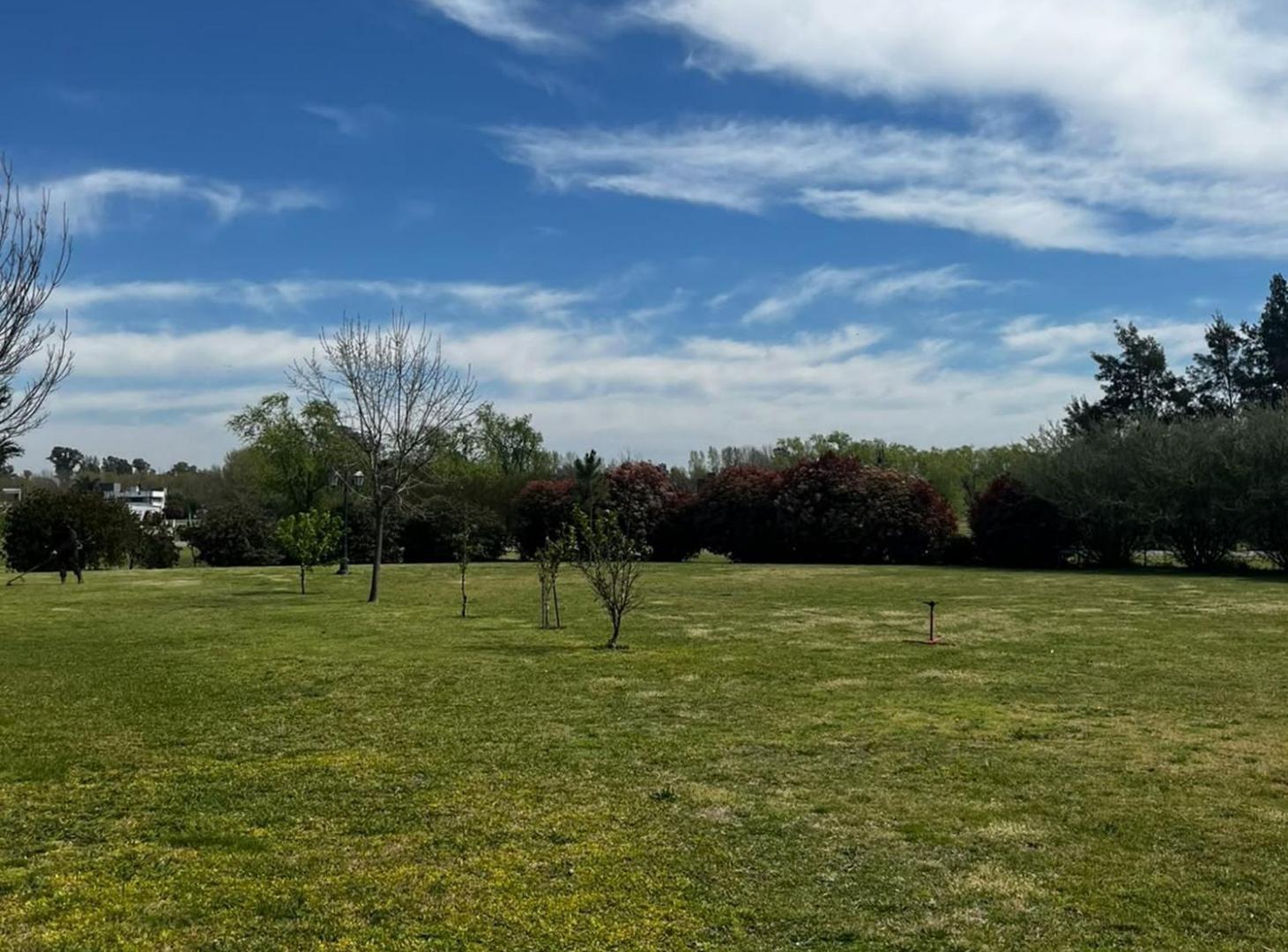 Foto de TERRENO 1250M² SOBRE CLUB NACIONAL - GRAL. RGZ, imagen 4