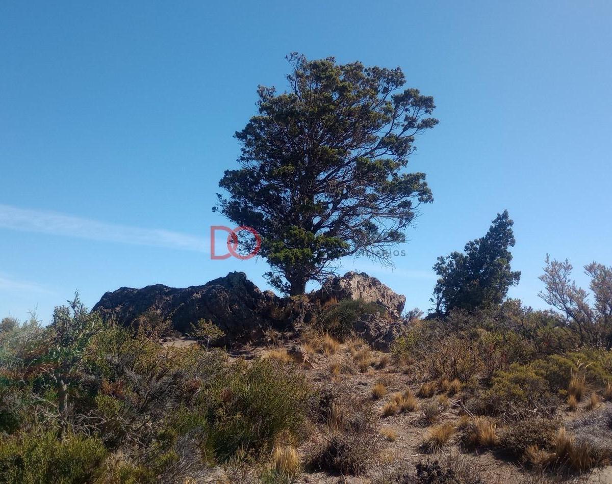 Gran vista en barrio cerrado