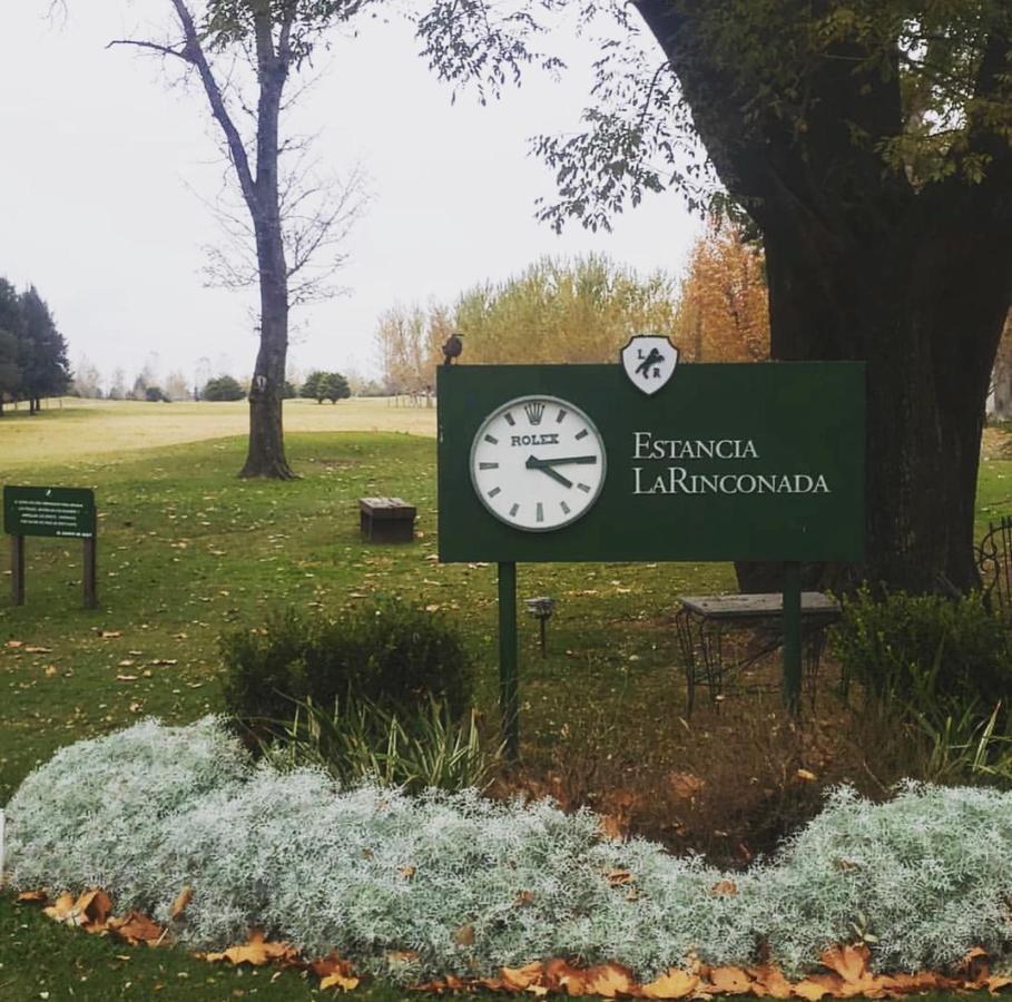 Foto de VENTA: Terrenos de 1000 m2 en La Rinconada, Ibarlucea., imagen 4