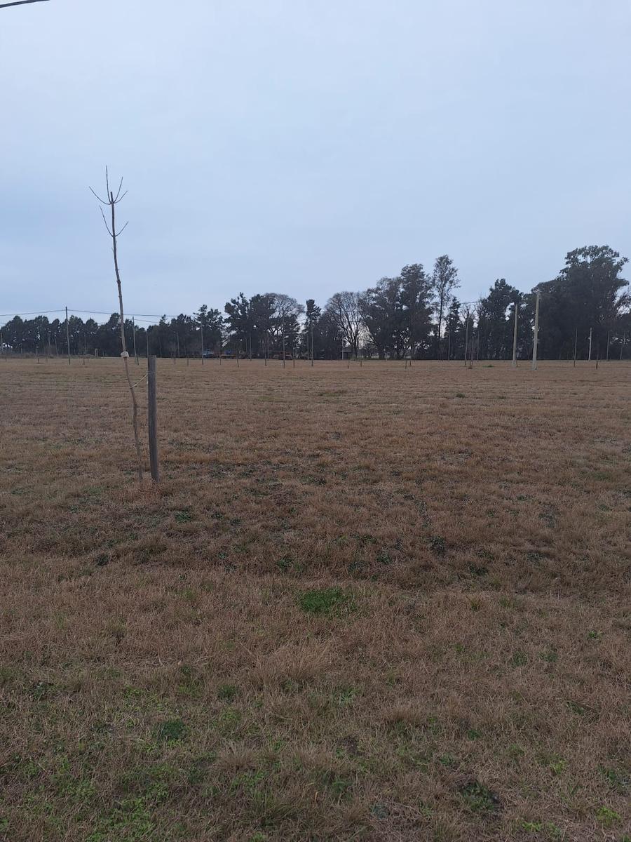 Terreno en Casilda 1