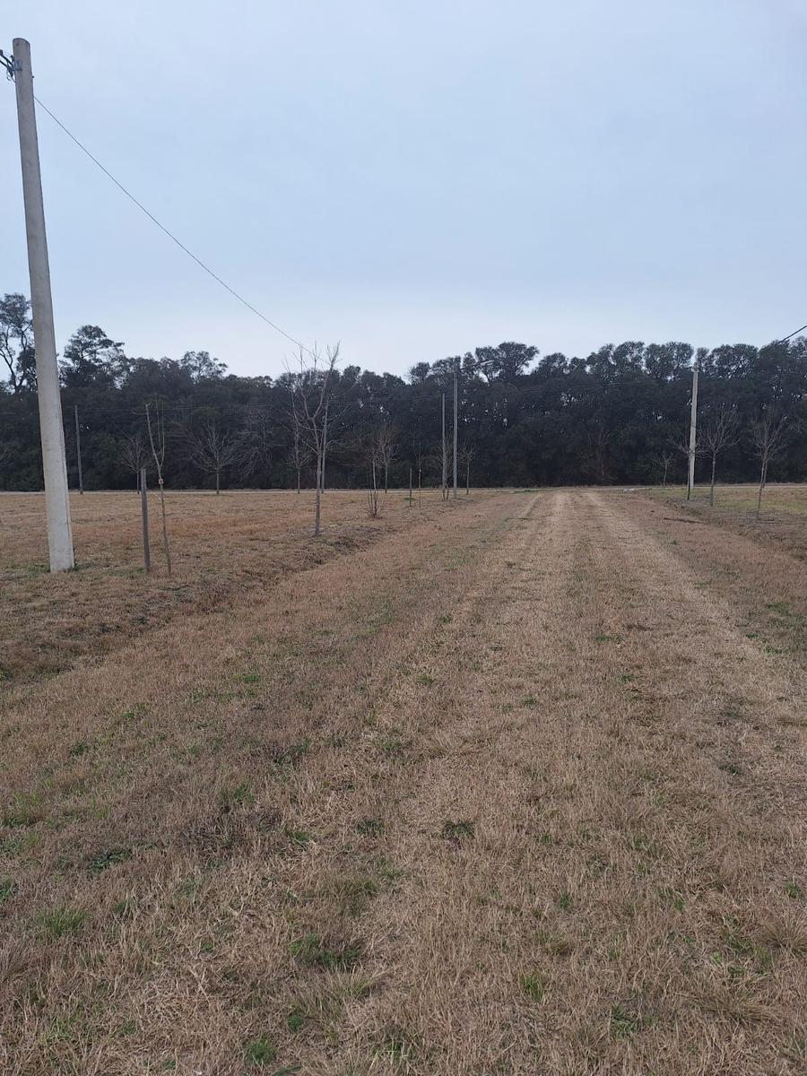 Terreno en Casilda 2