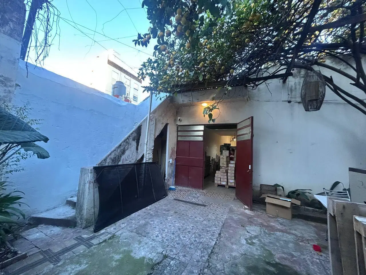 Venta: Local comercial de 610 m2 con posibilidad de construir hasta 1700 m2 en PB y 3 pisos. Abasto. 5