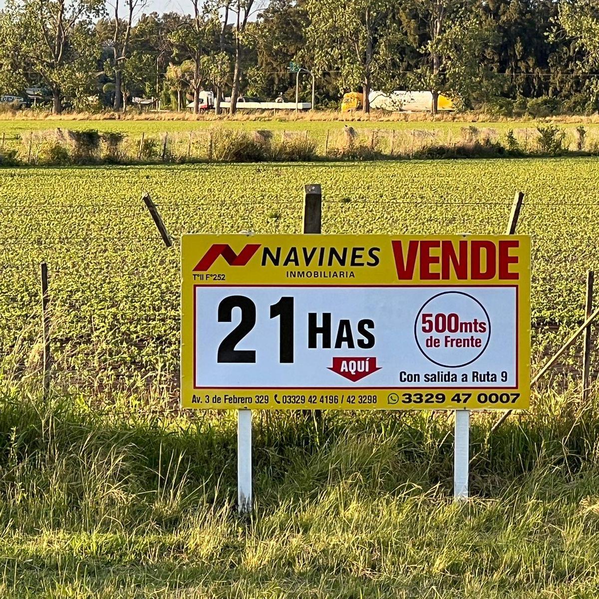 Foto de 21Has en Venta en San Pedro con 500 m² de frente sobre Ruta Panamericana, imagen 5