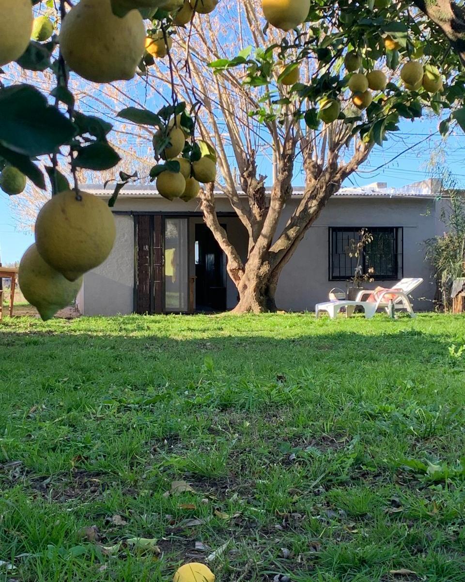Foto de Casa con 440 m² en venta en Río Tala, imagen 5