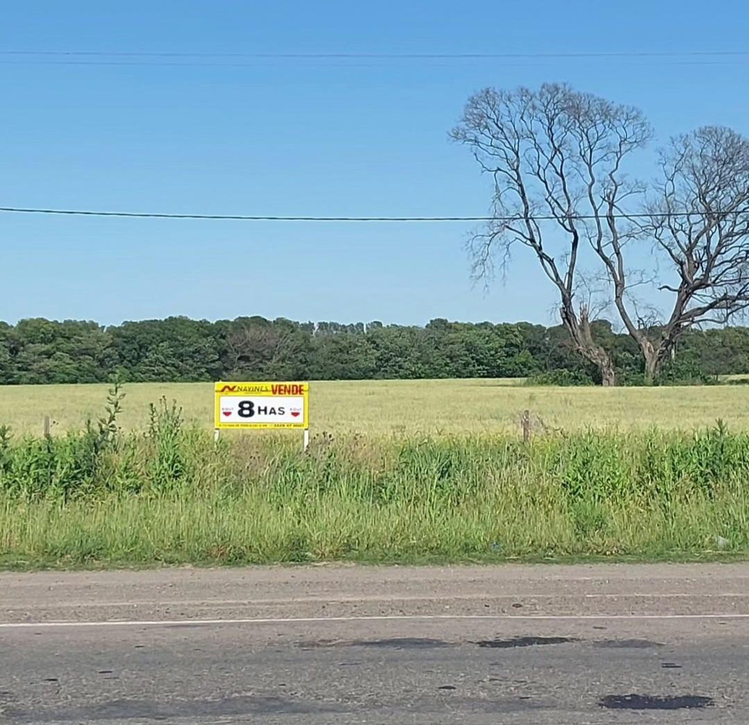 Foto de Campo en Venta en San Pedro, imagen 2