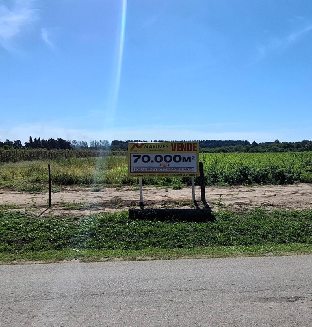 Foto de Campo con 70000 m² en venta en Río Tala, imagen 2
