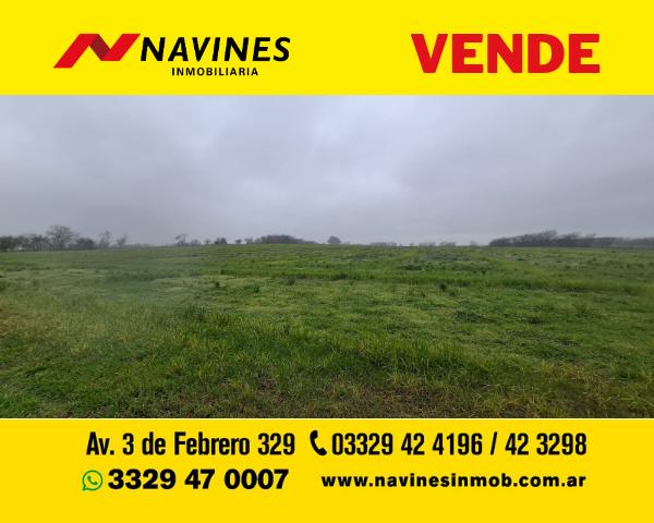Foto de Excelente Campo de 22.5 Has Agrícolas con Conectividad y Potencial, imagen 3