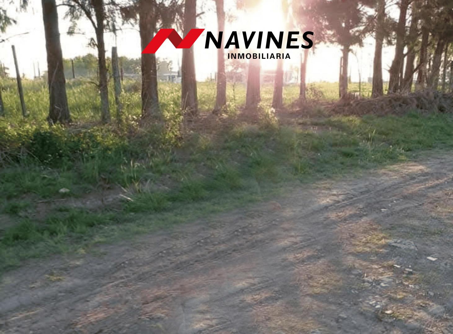 Foto de Lote Exclusivo en Zona La Calandria | San Pedro, imagen 5