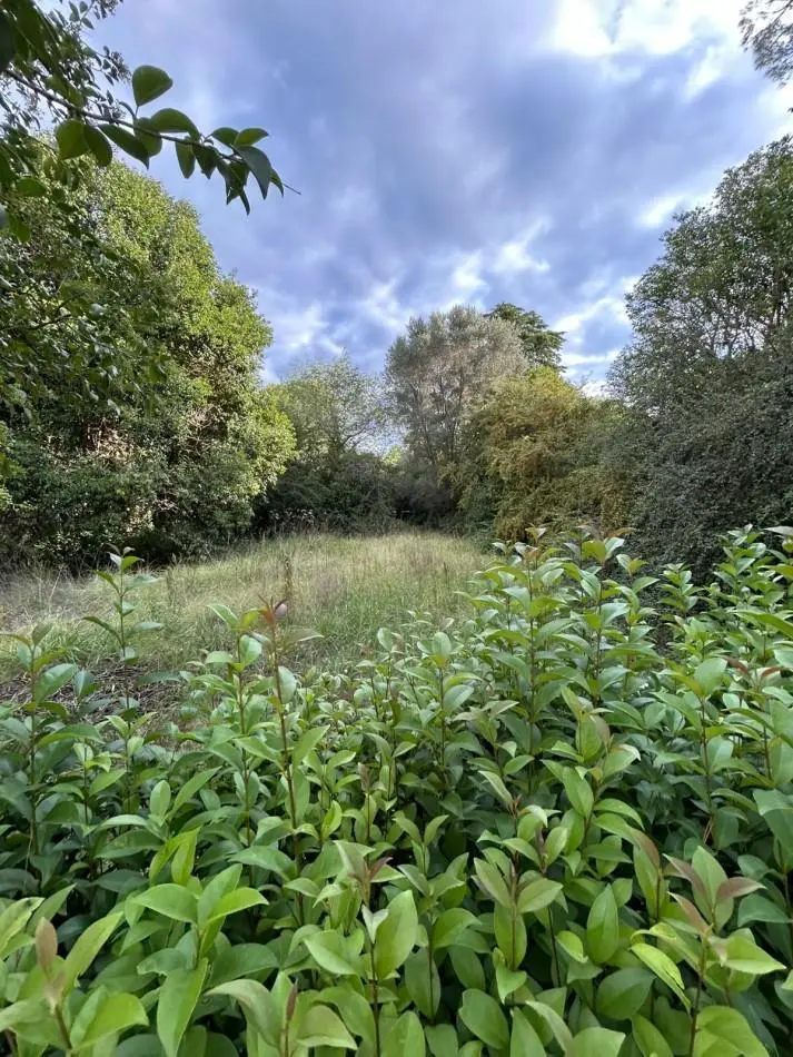 VENTA DE LOTE EN VILLA CIUDAD PARQUE - 560M2 2