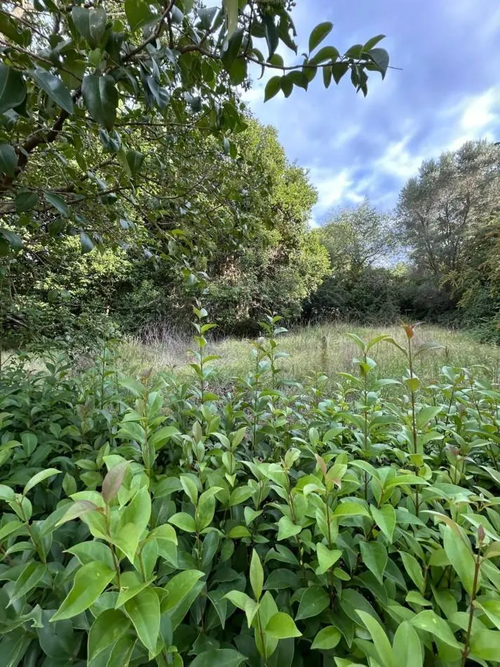 VENTA DE LOTE EN VILLA CIUDAD PARQUE - 560M2 4