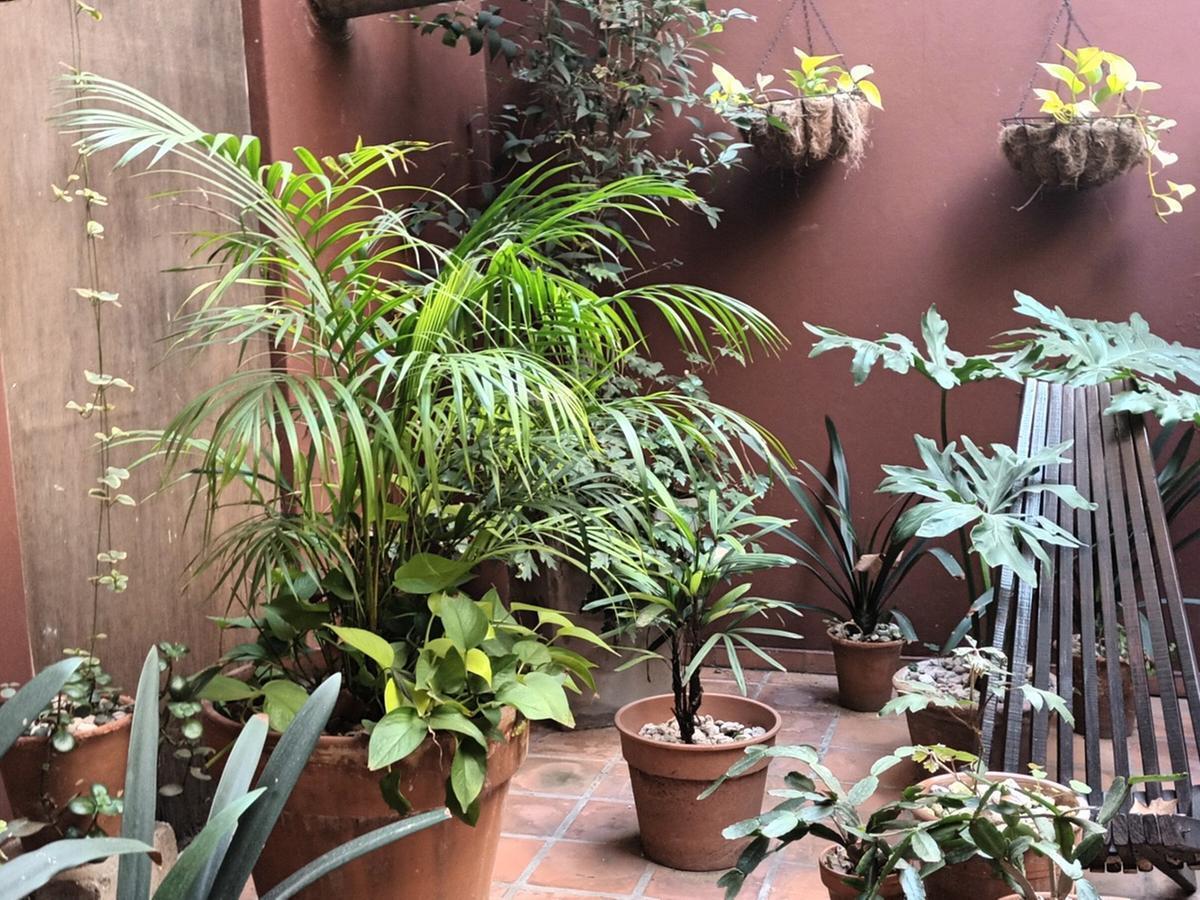 Departamento en Venta de 4 Ambientes con Escritorio en Famoso Pasaje General Paz Barrio Colegiales 3