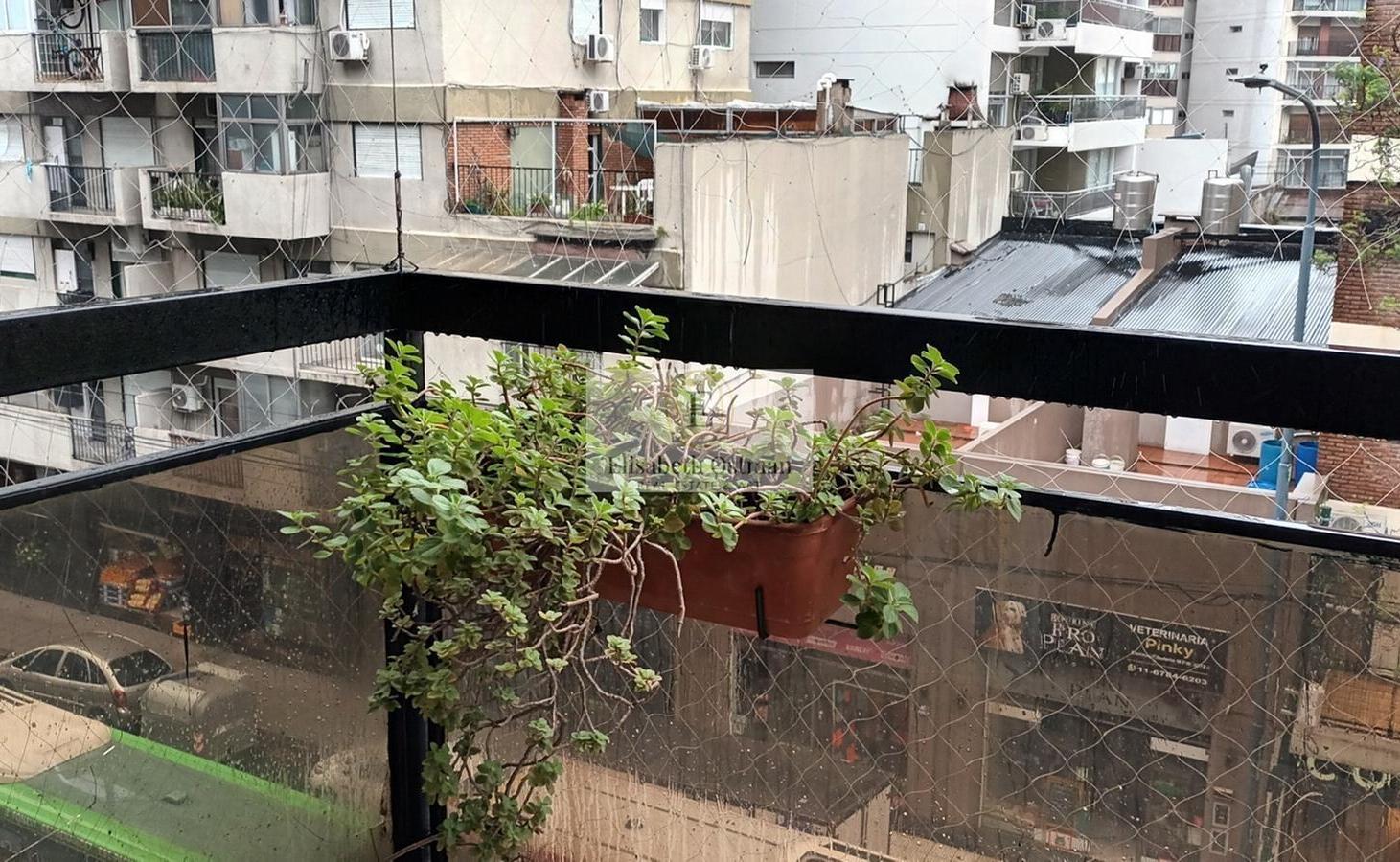 Foto de AMPLIO DEPARTAMENTO DE 2 AMBIENTES EN ALQUILER PALERMO LAS CAÑITAS, imagen 4