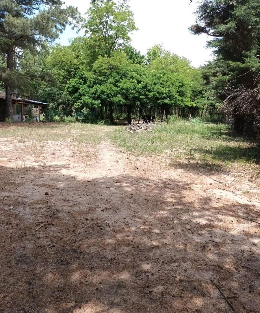Foto de INCREIBLE OPORTUNIDAD!!! SE VENDE HERMOSA CASA 2 DORM EN SAN CLEMENTE, imagen 4