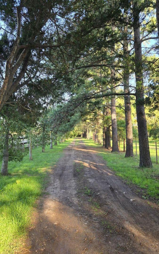 Foto de Terreno de 600 m² en venta en Zárate, imagen 5