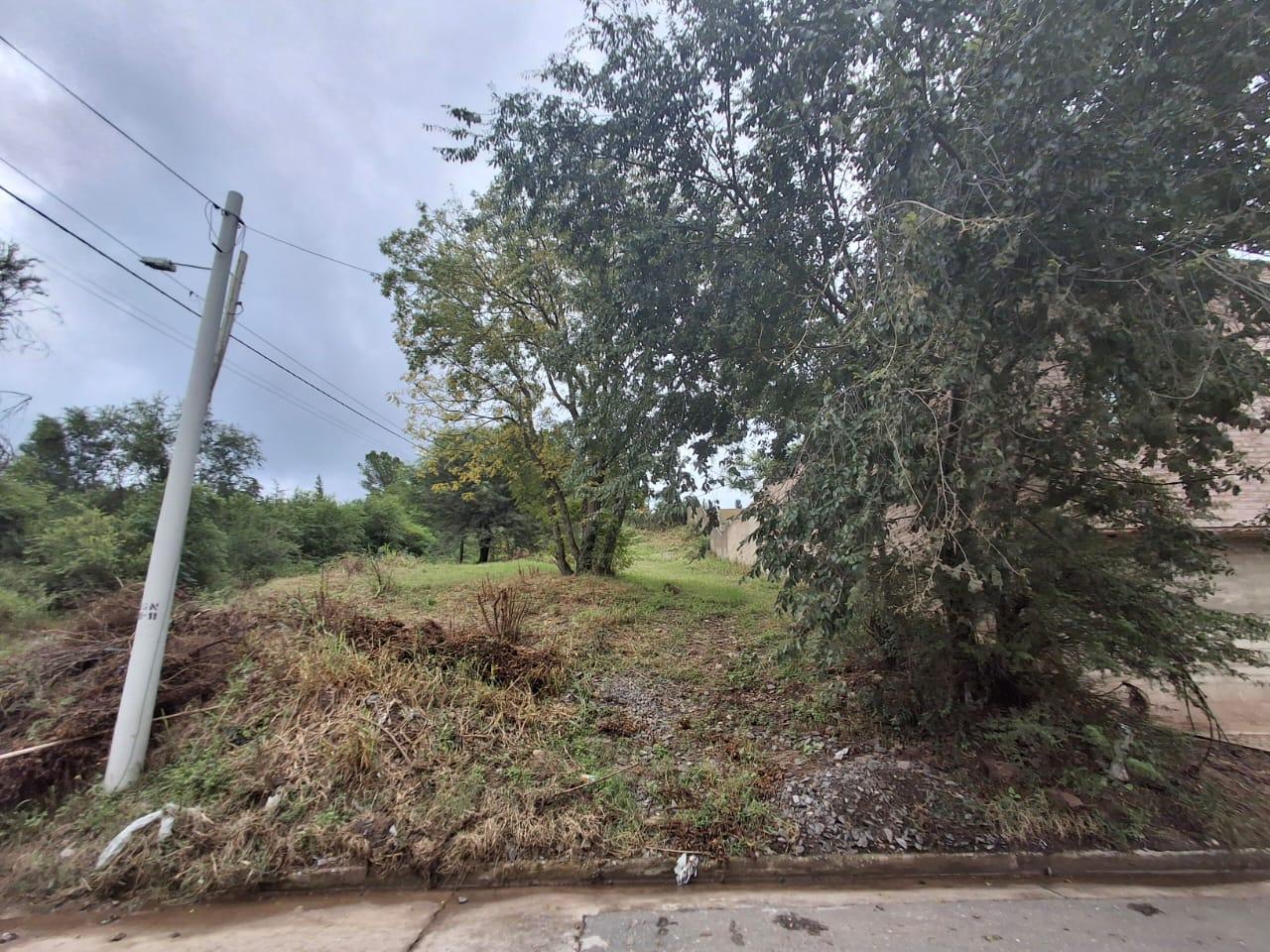 Foto de Venta terreno amplio!! 535 m2- Argüello - Apto duplex, imagen 4