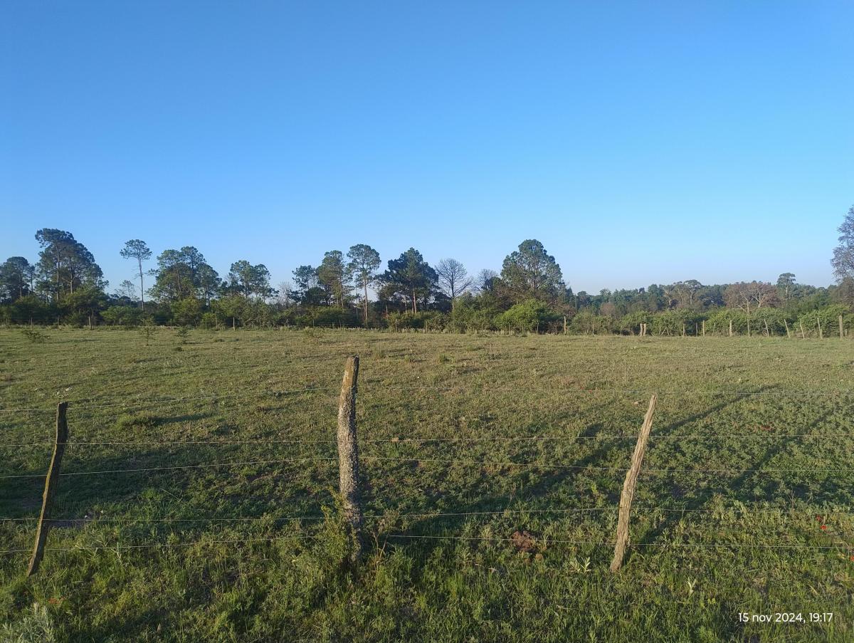 Terrenos con Excelente Ubicación en Potrero de Garay 5