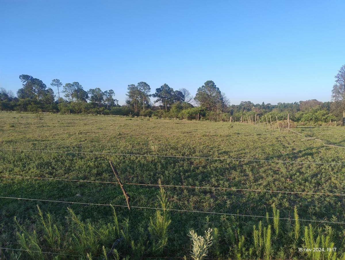 Terrenos con Excelente Ubicación en Potrero de Garay 2