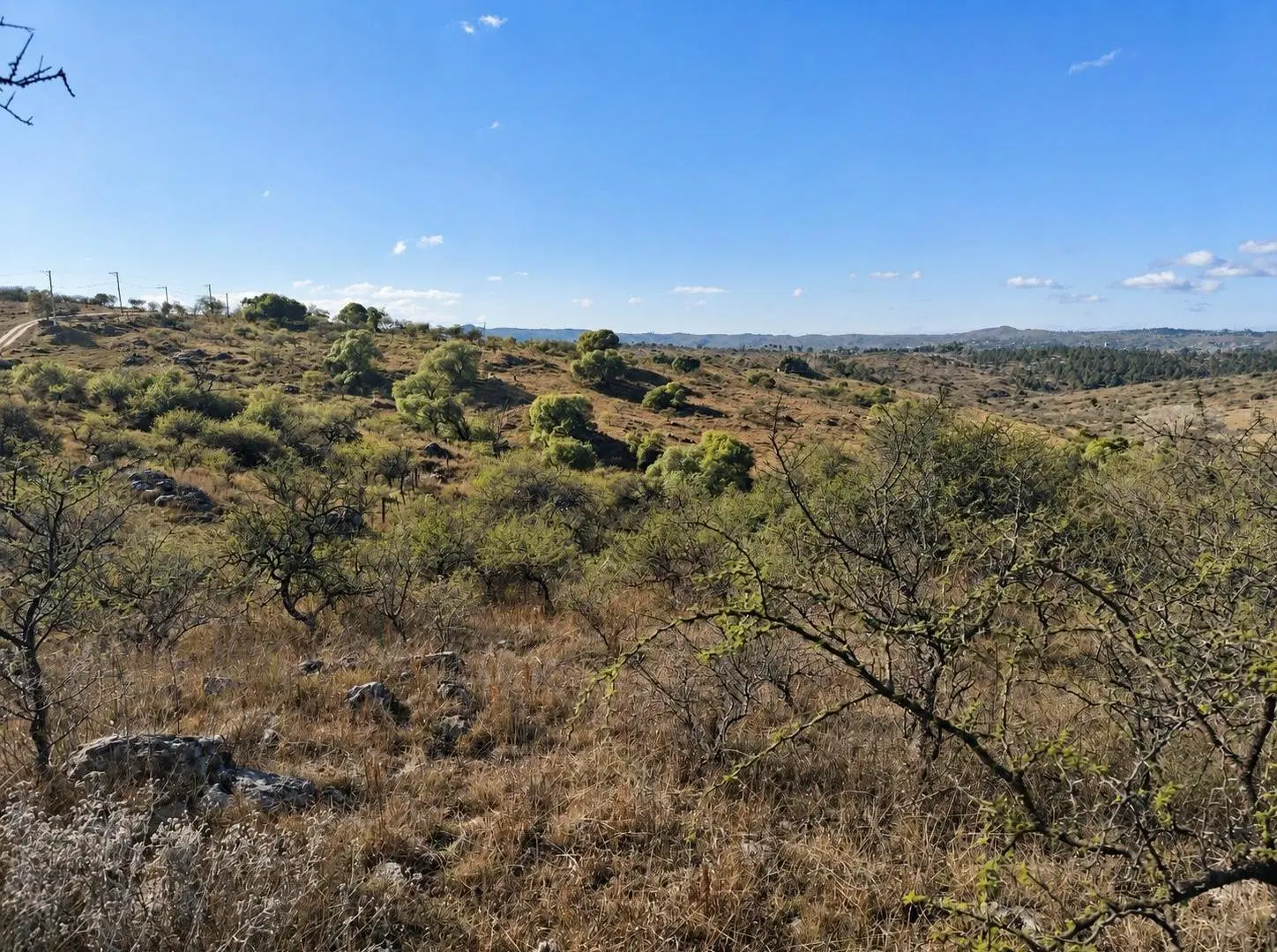 Tierra estratégica para proyecto turístico o residencial 3