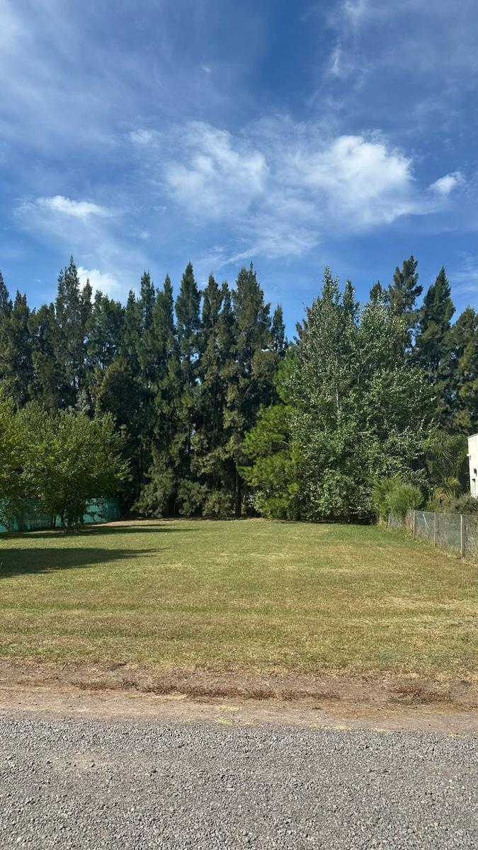 Venta Terreno en Altos de Brandsen 4