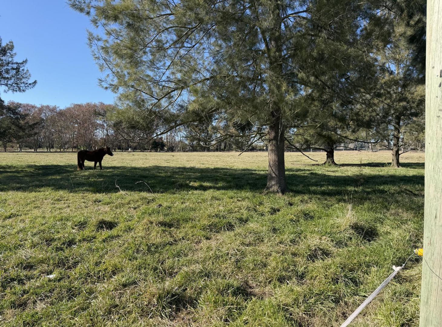Foto de VENTA Terreno en Estancia Las Malvinas Brandsen, imagen 4