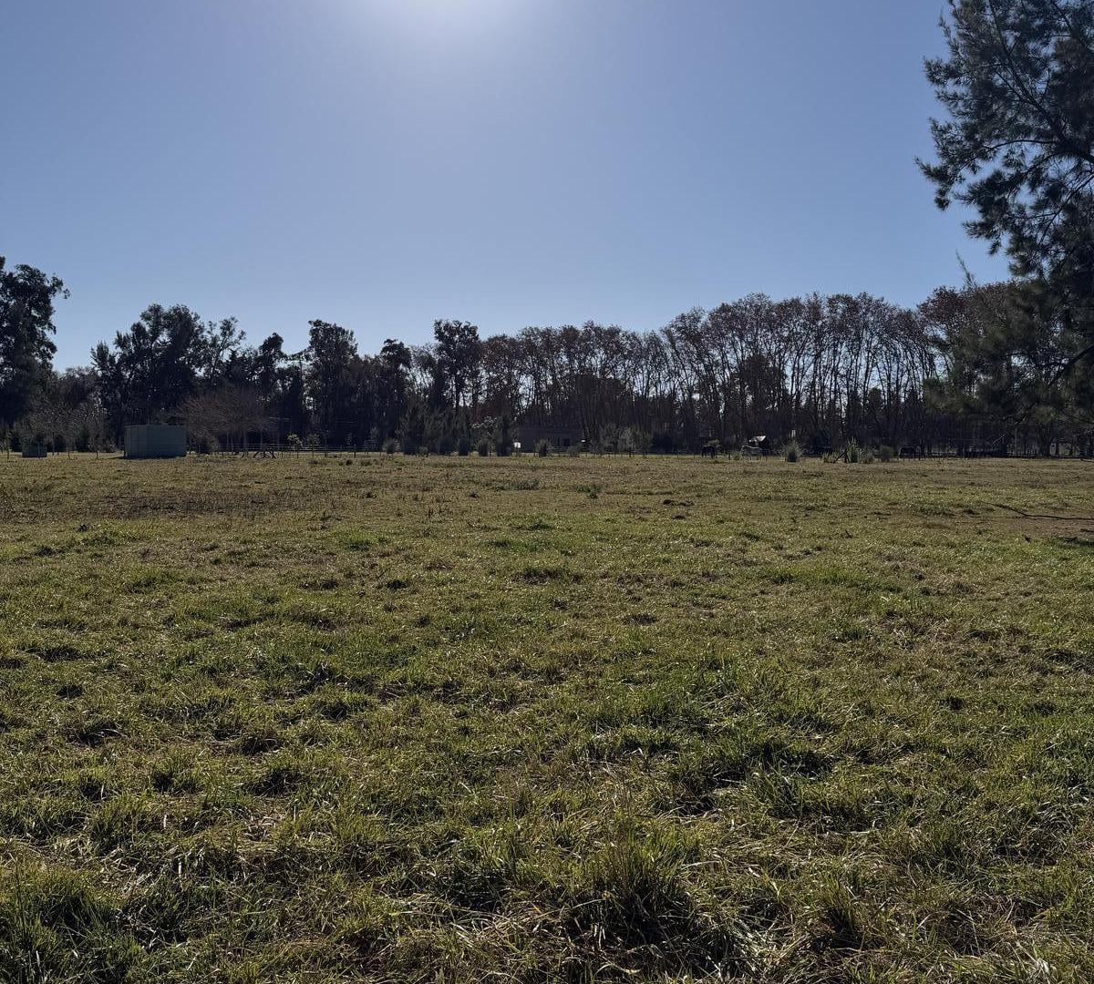 Foto de VENTA Terreno en Estancia Las Malvinas Brandsen, imagen 2