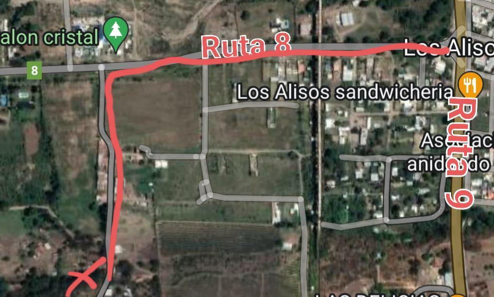 Finca en Los Alisos 3