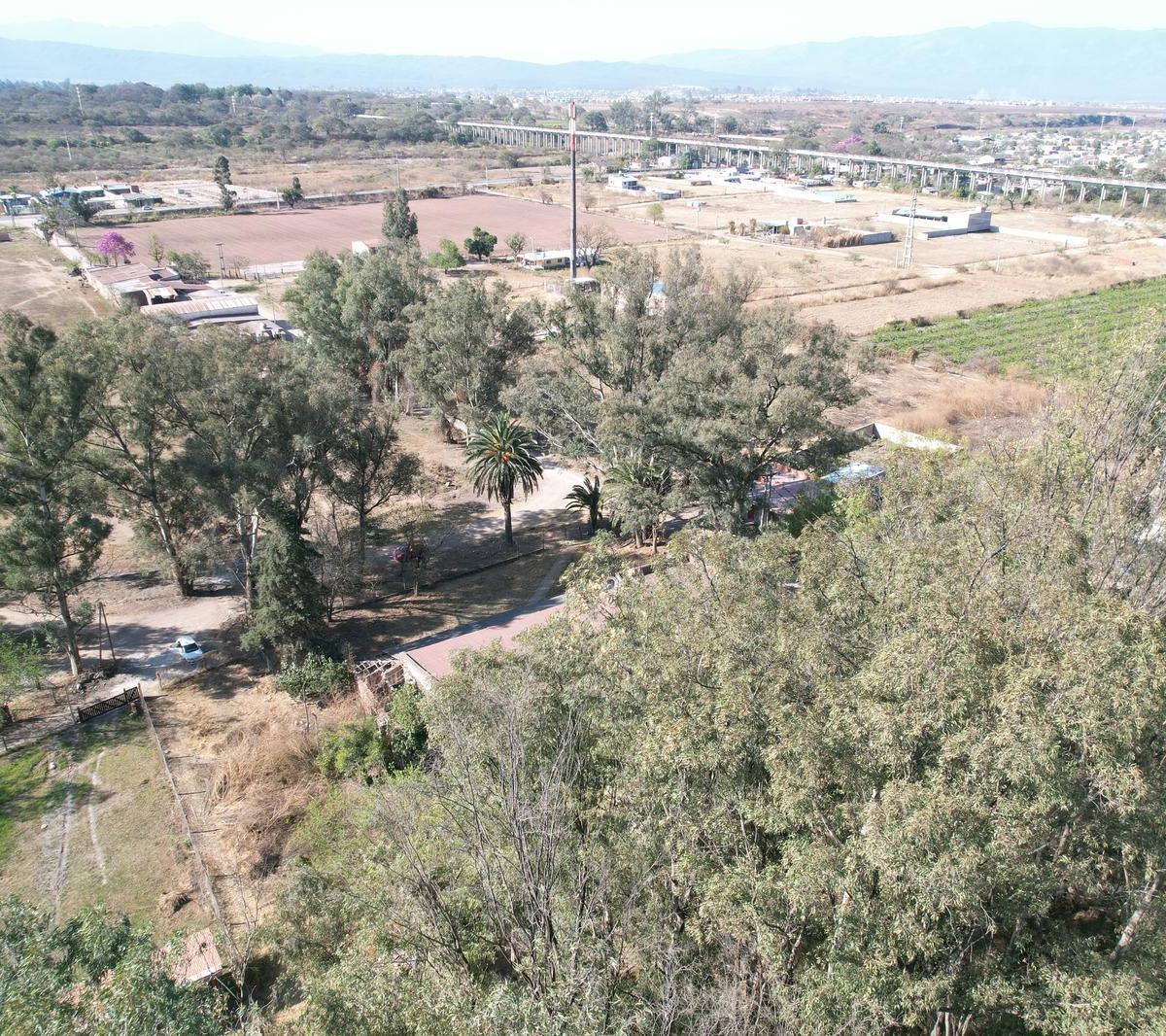 Finca en Los Alisos 2