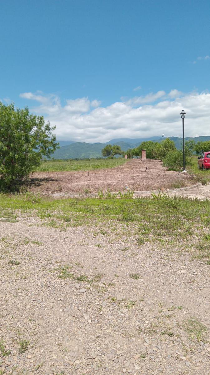 Terreno en La Almona 1
