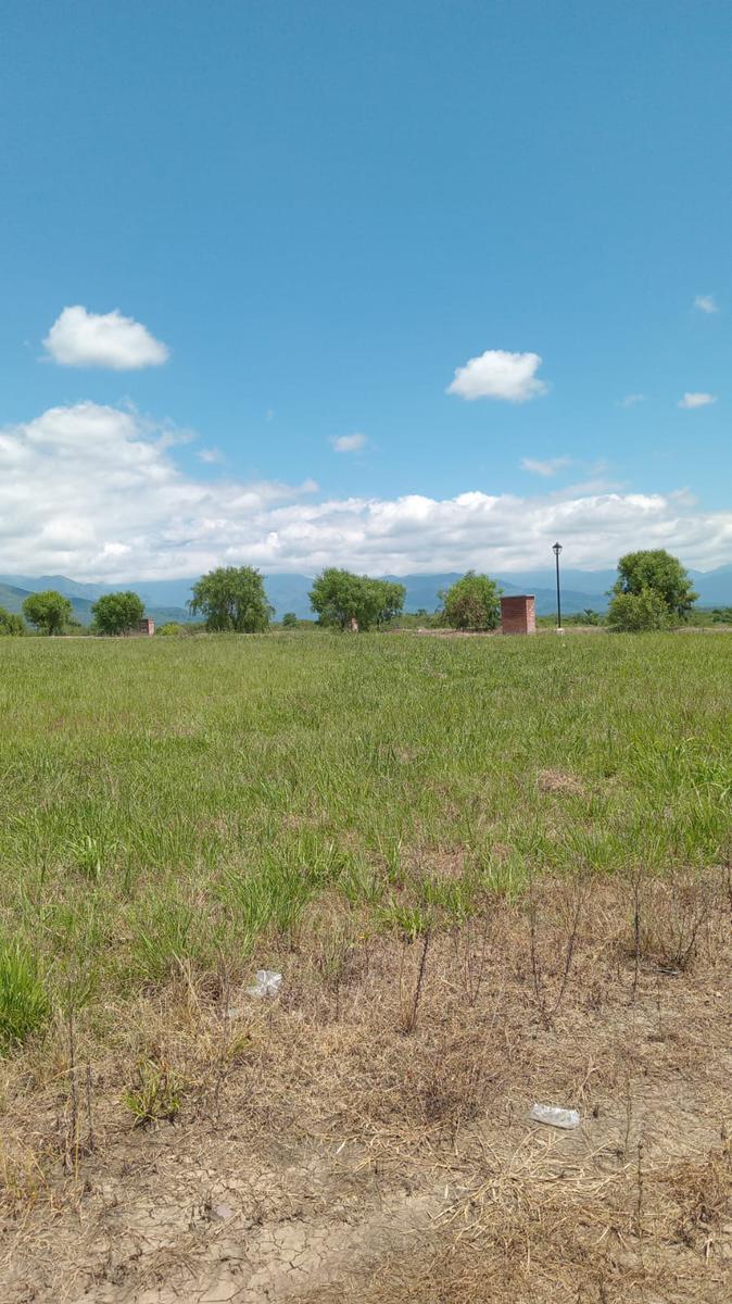 Terreno en La Almona 3