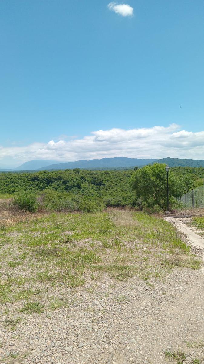 Terreno en La Almona 5