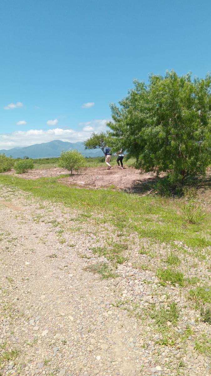 Terreno en La Almona 4