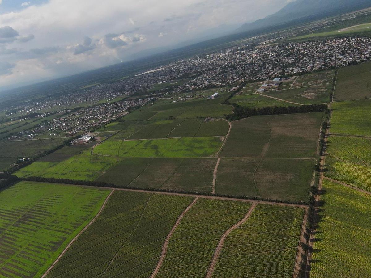 Terreno en Perico 3