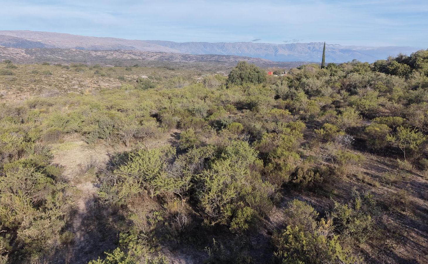 Foto de SE VENDE TERRENO DE 2.400 m² EN MINA CLAVERO CON VISTA A LAS SIERRAS, imagen 4