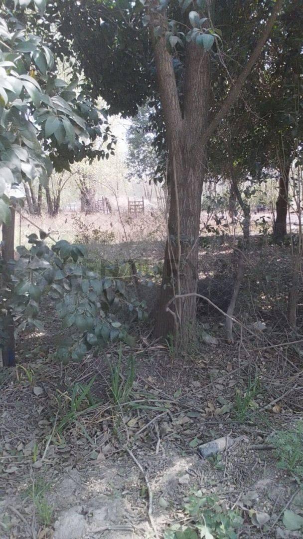 Lote en Venta 2