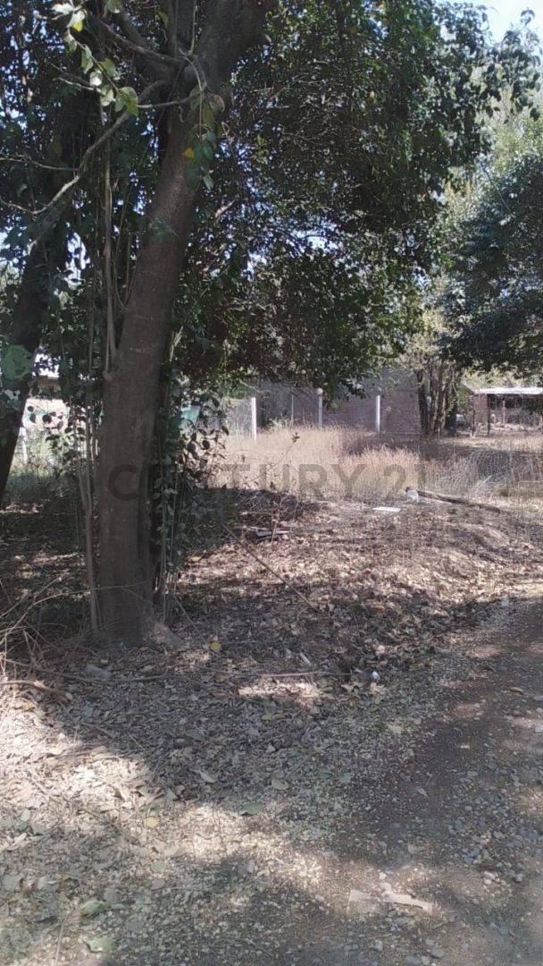 Lote en Venta 5