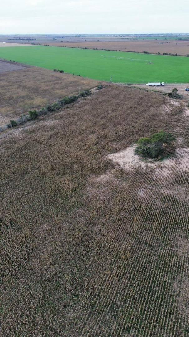 venta de Campo, Río Primero campo en Venta Río Primero 33 Ha Buena Producción <. 2