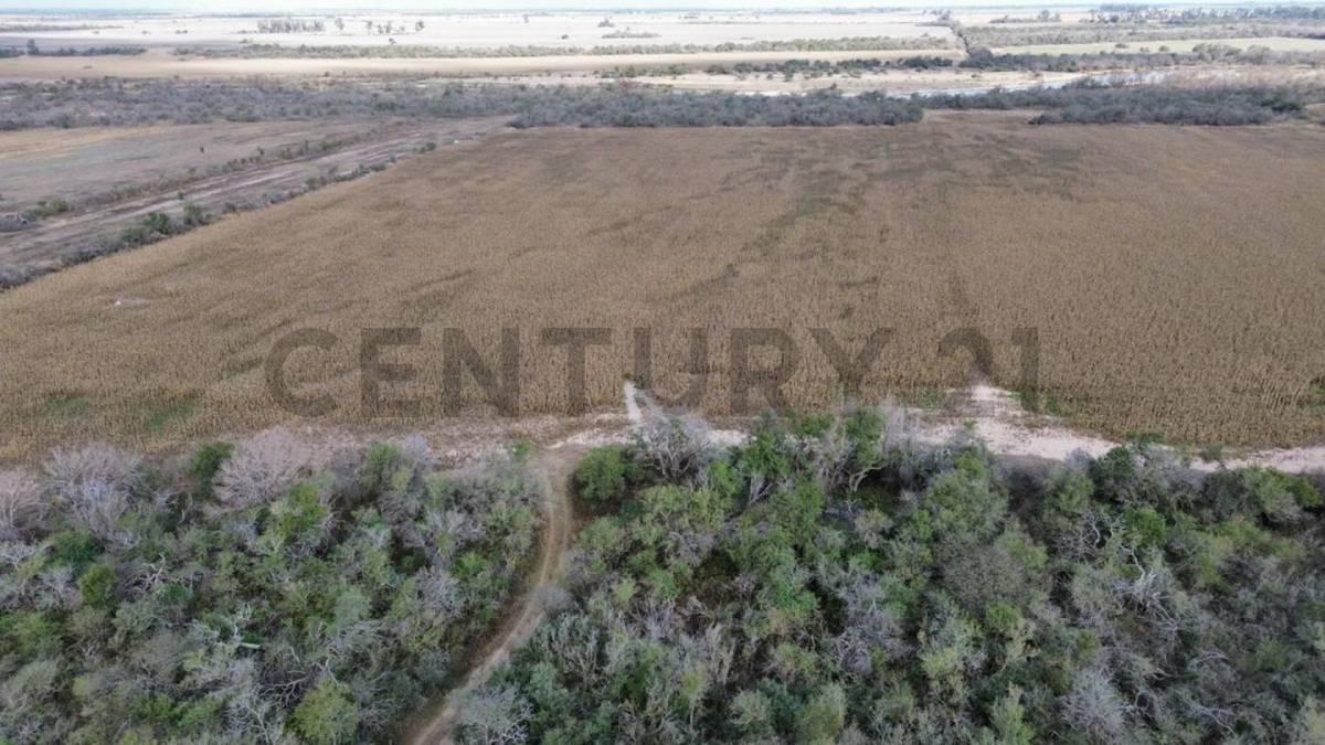 venta de Campo, Río Primero campo en Venta Río Primero 33 Ha Buena Producción <. 1