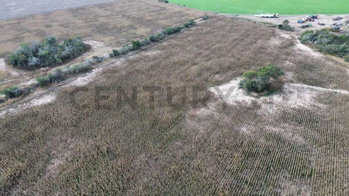 venta de Campo, Río Primero campo en Venta Río Primero 33 Ha Buena Producción <. 5