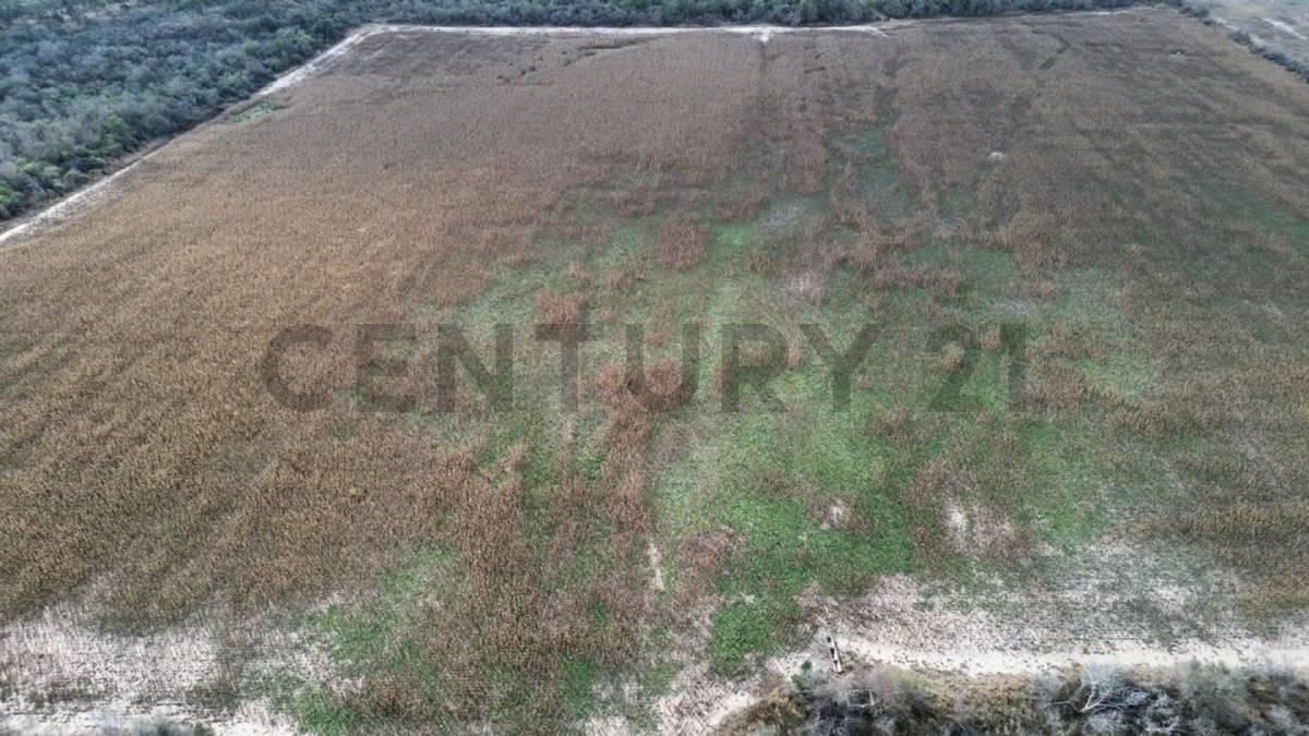 venta de Campo, Río Primero campo en Venta Río Primero 33 Ha Buena Producción <. 4