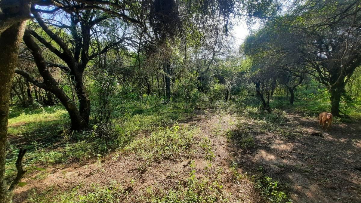 Lotes C/escritura Ecobarrio "El Capricho" 1