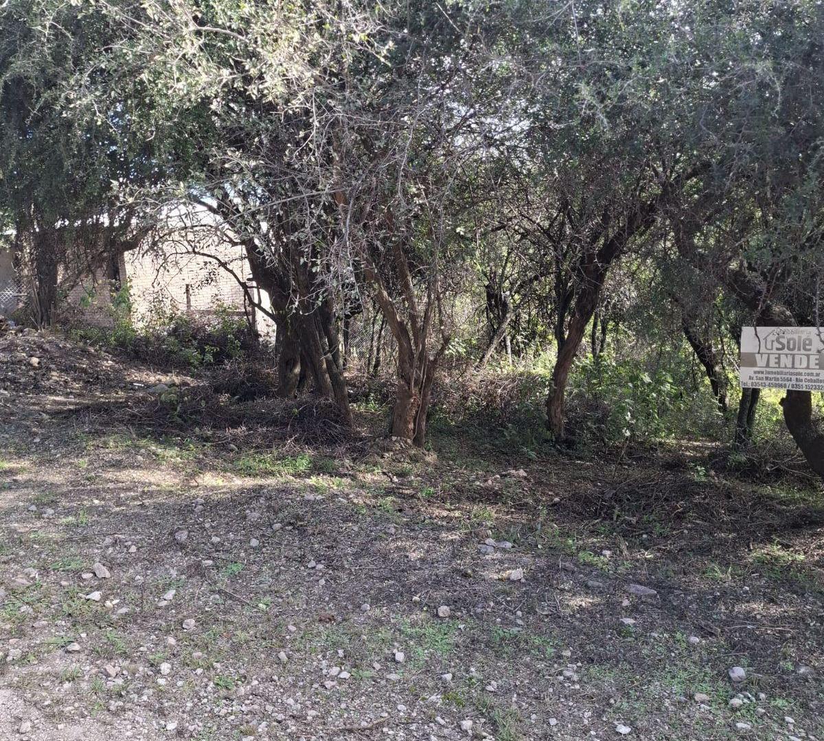 LOTE EN VENTA – VILLA SILVINA