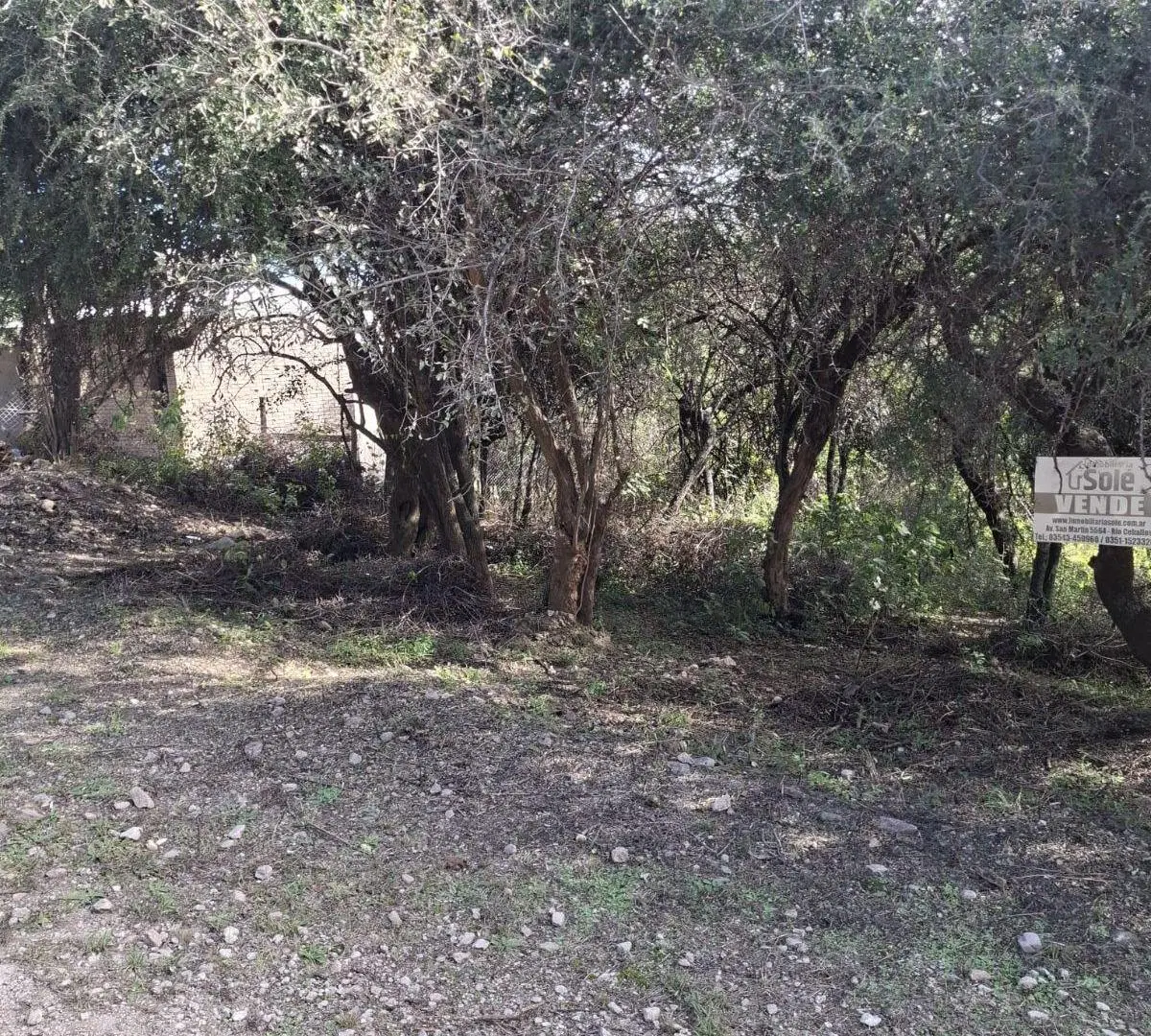 LOTE EN VENTA – VILLA SILVINA 1