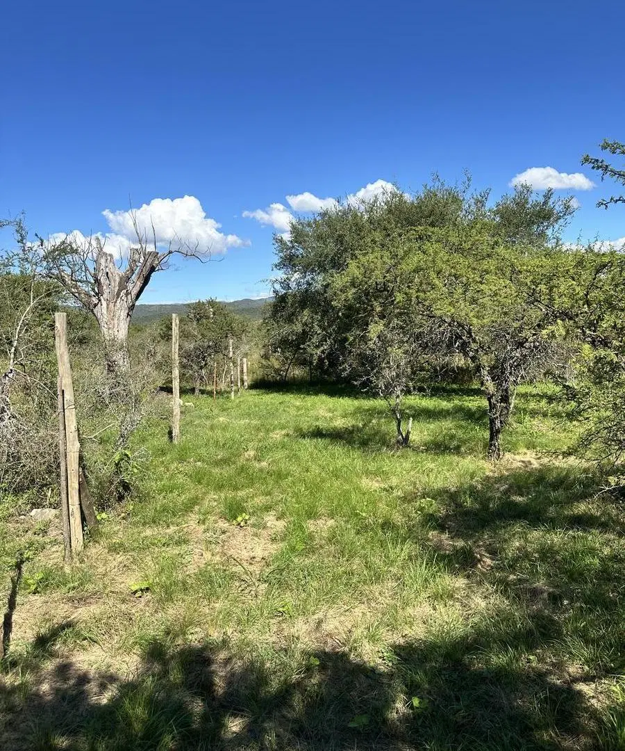 ¡IMPORTANTE OPORTUNIDAD! LOTE EN VENTA JOSE DE LA QUINTANA 5