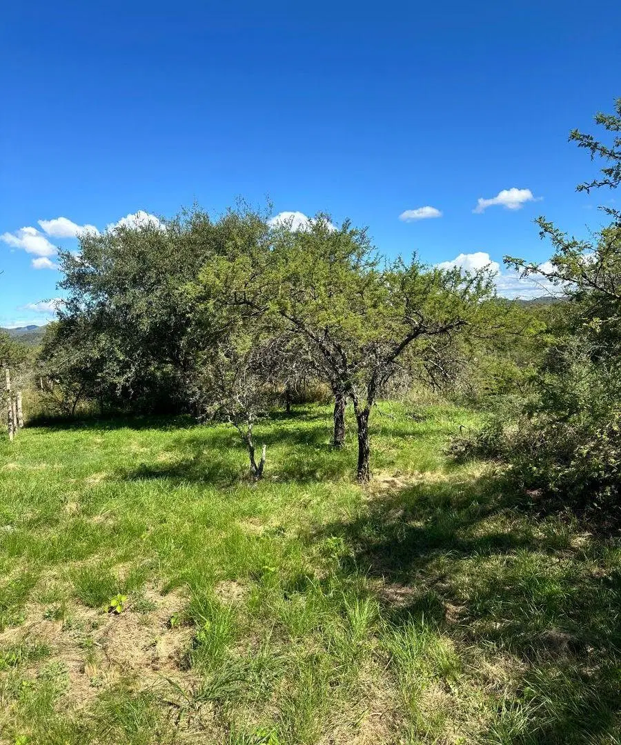 ¡IMPORTANTE OPORTUNIDAD! LOTE EN VENTA JOSE DE LA QUINTANA 2
