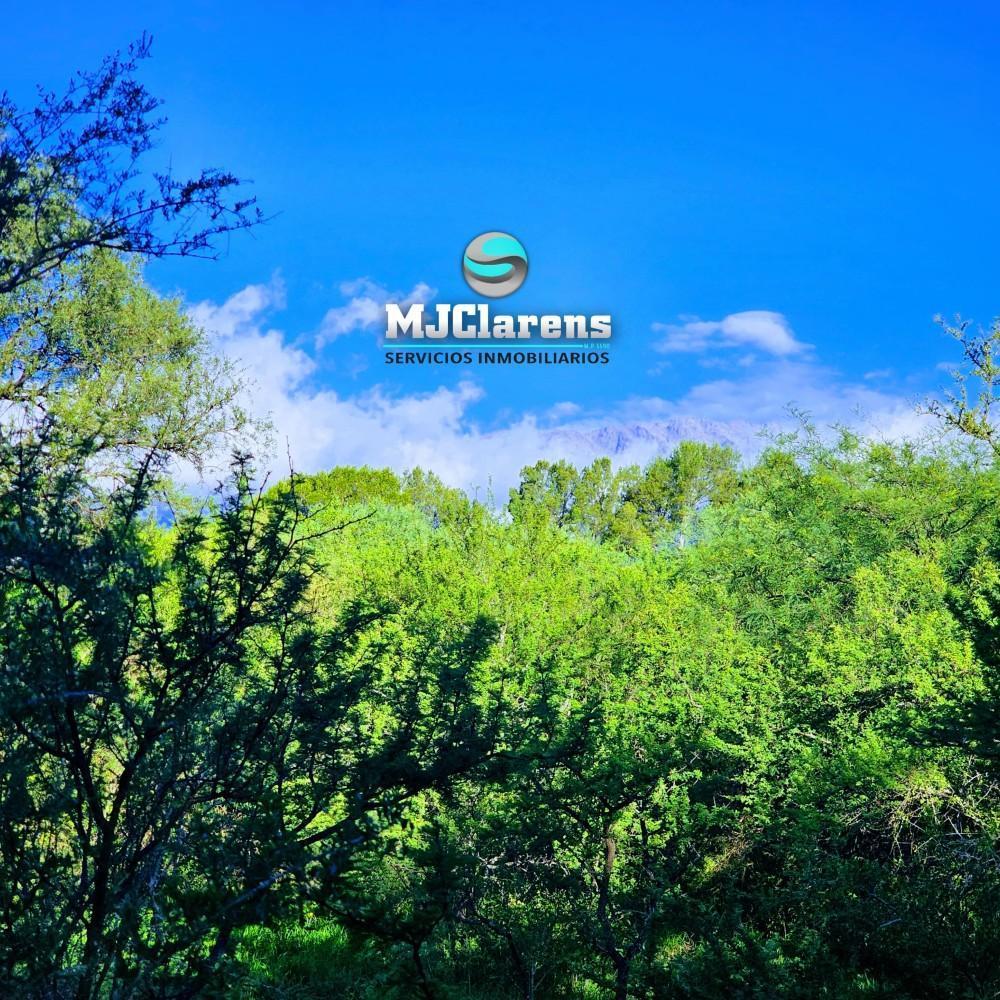 Lote con Escritura y Servicios Villa de Las Rosas 4