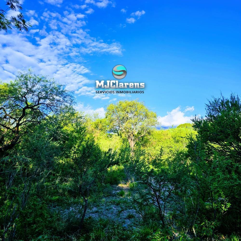 Lote con Escritura y Servicios Villa de Las Rosas 3