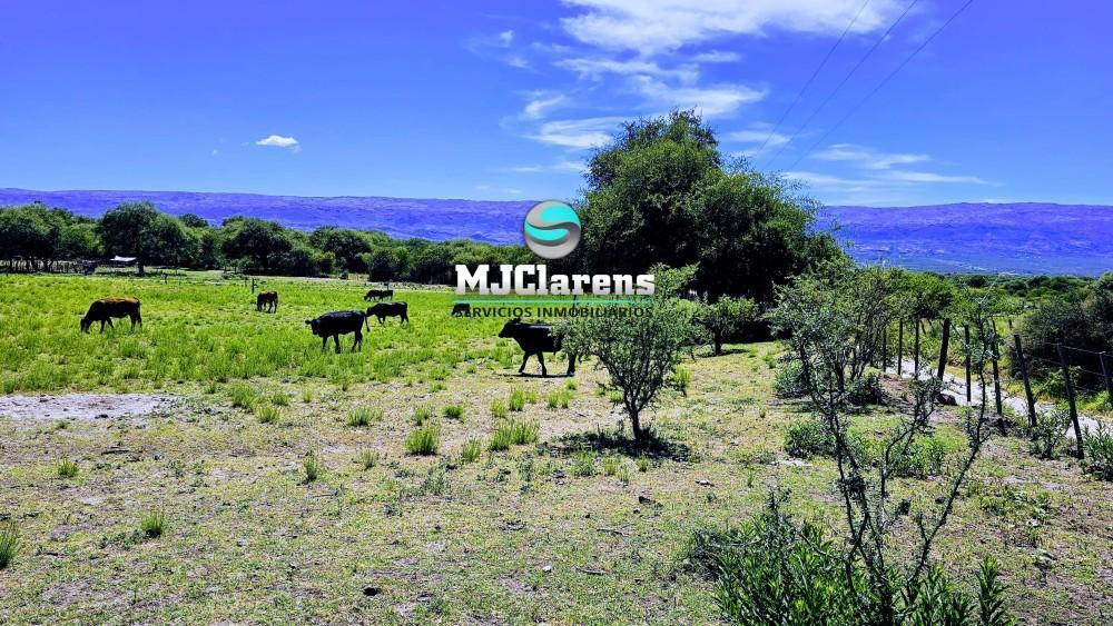 Foto de Venta Lote 1115m2 Mina Clavero, La Gloria Servicios En Puerta, imagen 4