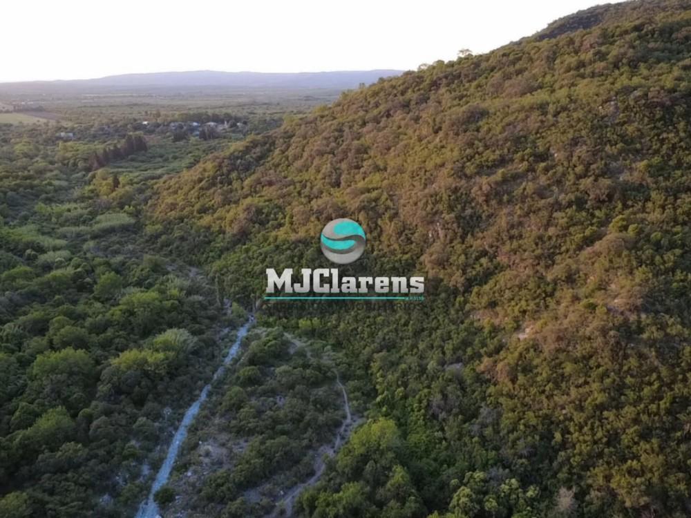 Foto de Campo de 3 Hectáreas con Vistas Panorámicas - Los Hornillos, imagen 4