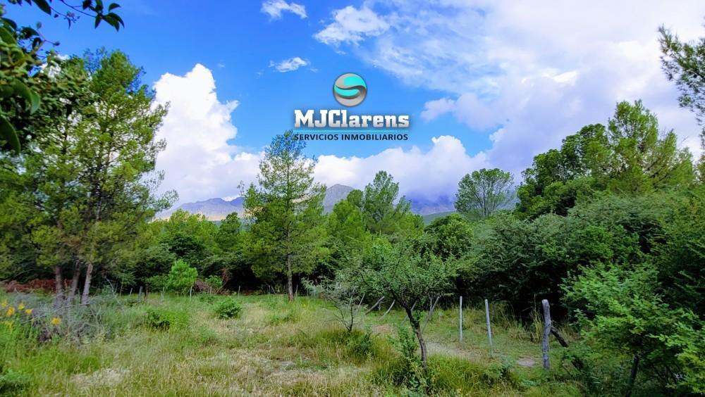 Foto de Lote 1298m2 Los Hornillos - Traslasierra - A 280m de Ruta 14, imagen 4