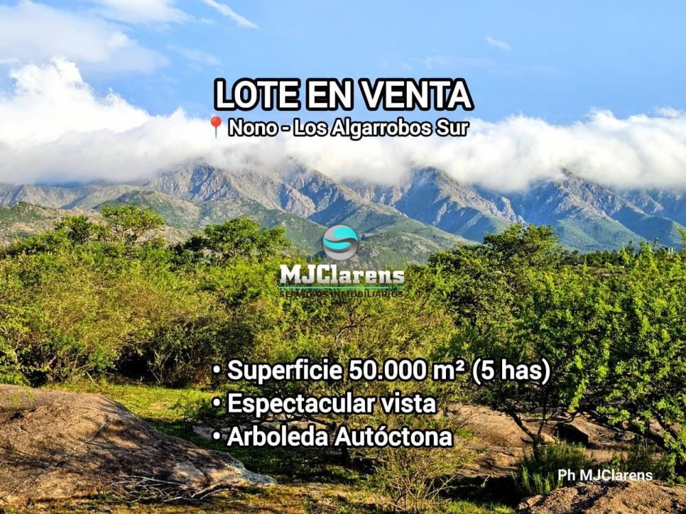 Foto de Campito en Venta 5 hectareas NONO, imagen 1